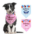 Dog Birthday Bibs Pet Happy Birthday Bandanas